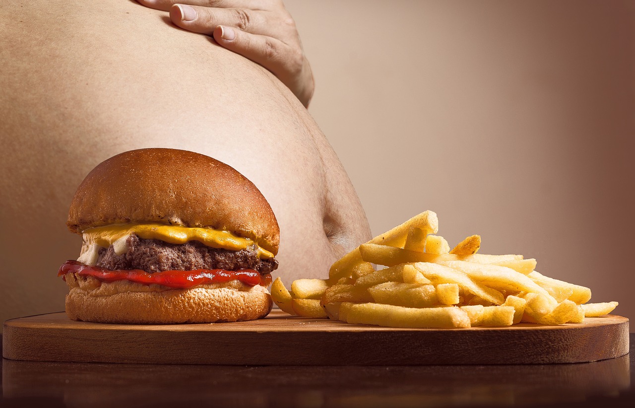obesità - diabete - junk food